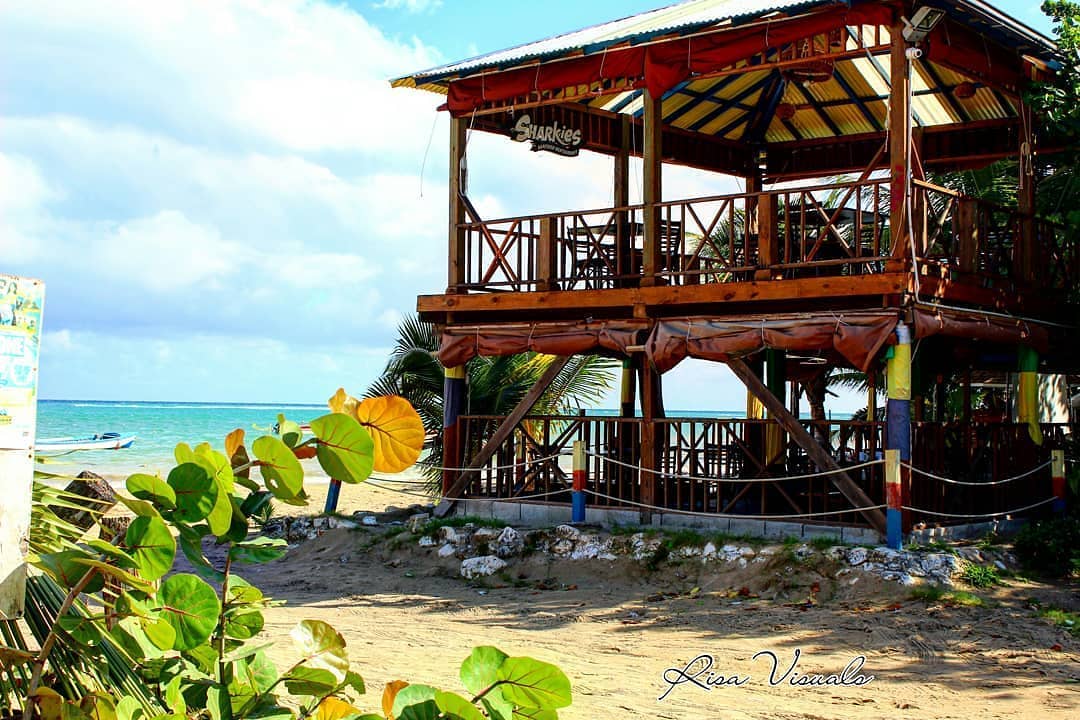 Sharkies Restaurant