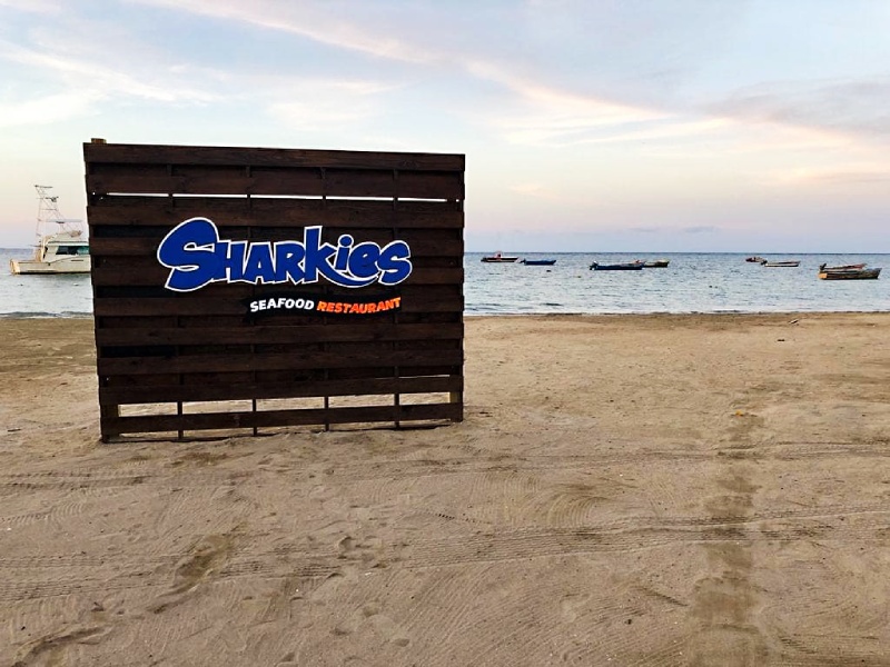 Sharkies on The Beach