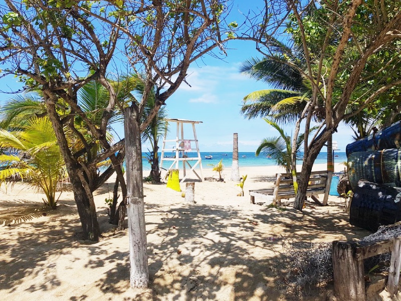 Sharkies Beach View